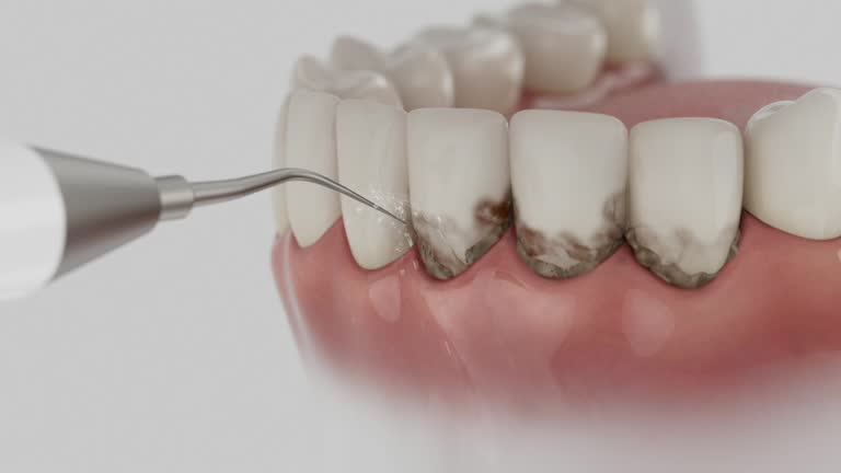 Reliable Dental contractor in South Euclid, OH by Dentist Open Now